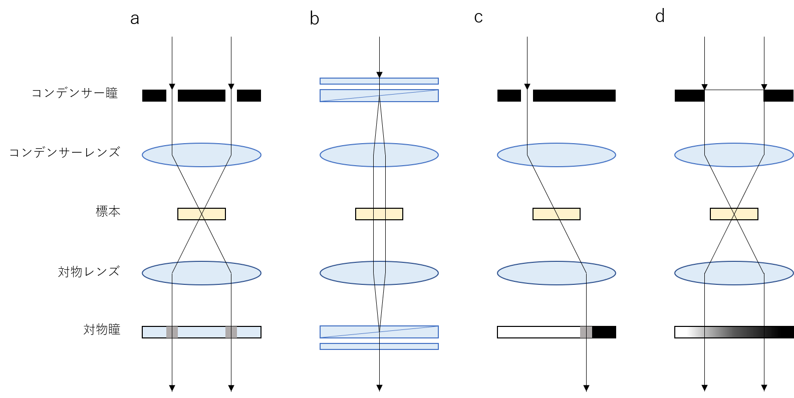 図１．各種位相可視化法の光学配置