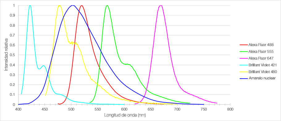 Figura 1: Espectro de emisión de los seis fluorocromos usados para etiquetar las secciones de la córtex prefrontal medial del ratón.