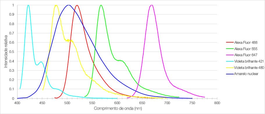 Figura 1: Espectros de emissão dos seis fluoróforos usados para marcar seções do córtex pré-frontal medial do camundongo.