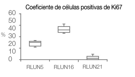 Coeficiente de células positivas de Ki67