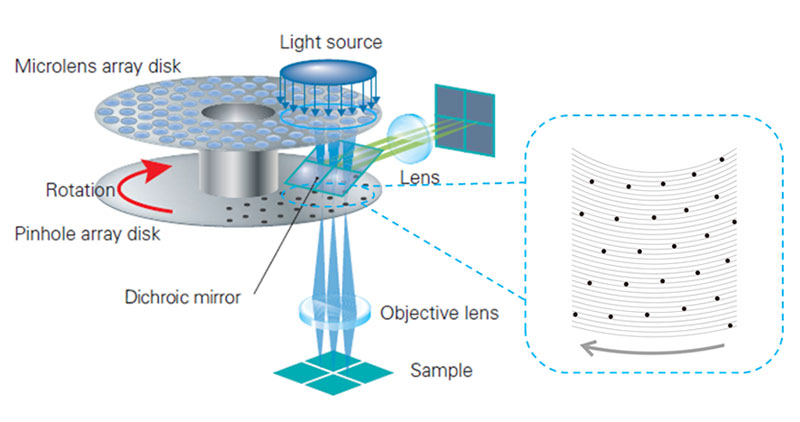 Figure 2. Schematic presentation of the optical system of a spinning disk confocal microscope. (a) Complete structure