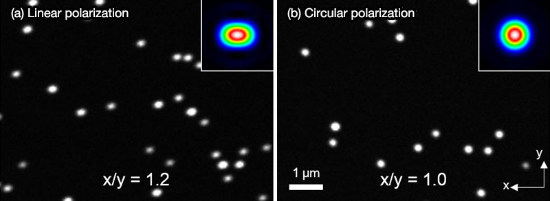 Figure 10. Fluorescence image of fluorescent beads (Φ 100 nm) with (left) and without (right) polarized light control.