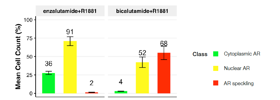 図 5: R1881とエンザルタミド処理（左）またはビカルタミド処理（右）を行ったもの。プロットは、処理条件全体で予測される核クラスの分布を示す。