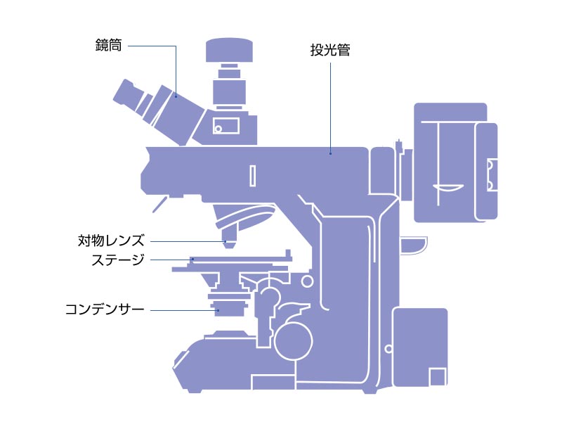 装置搭載用 顕微鏡コンポーネント | オリンパス ライフサイエンス