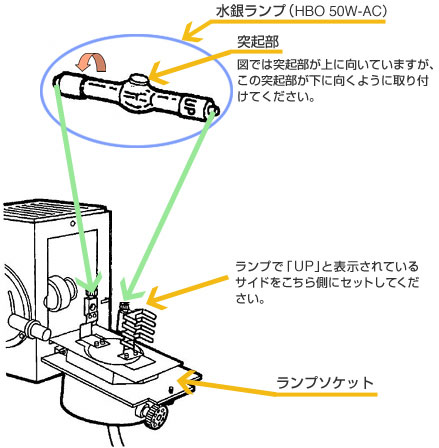 よくあるご質問 | オリンパス ライフサイエンス