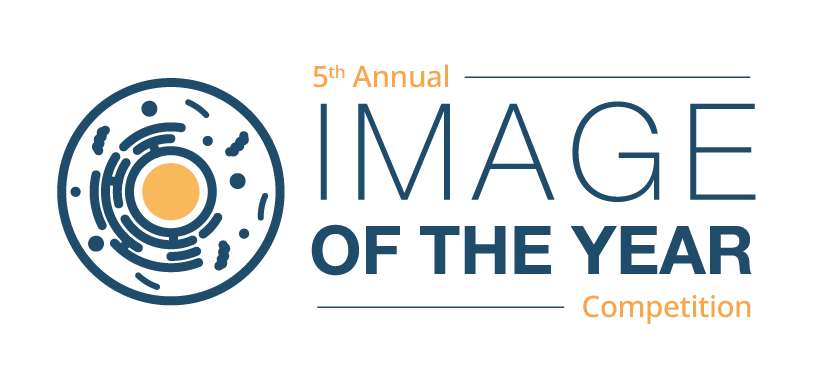 Image of the Year Logo