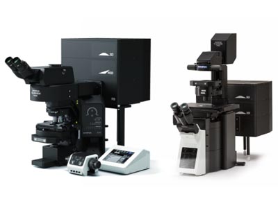 共焦点レーザー走査型顕微鏡 FV3000