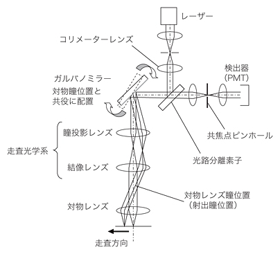 図6 共焦点顕微鏡の光学系概略