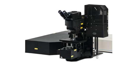 Multiphoton laser scanning microscopes