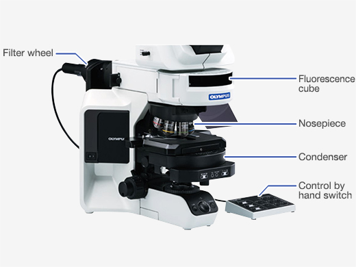 OLYMPUS オリンパス システム生物顕微鏡 BX53 完動品 美品 2016年製 