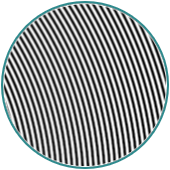 Disk Image 2
