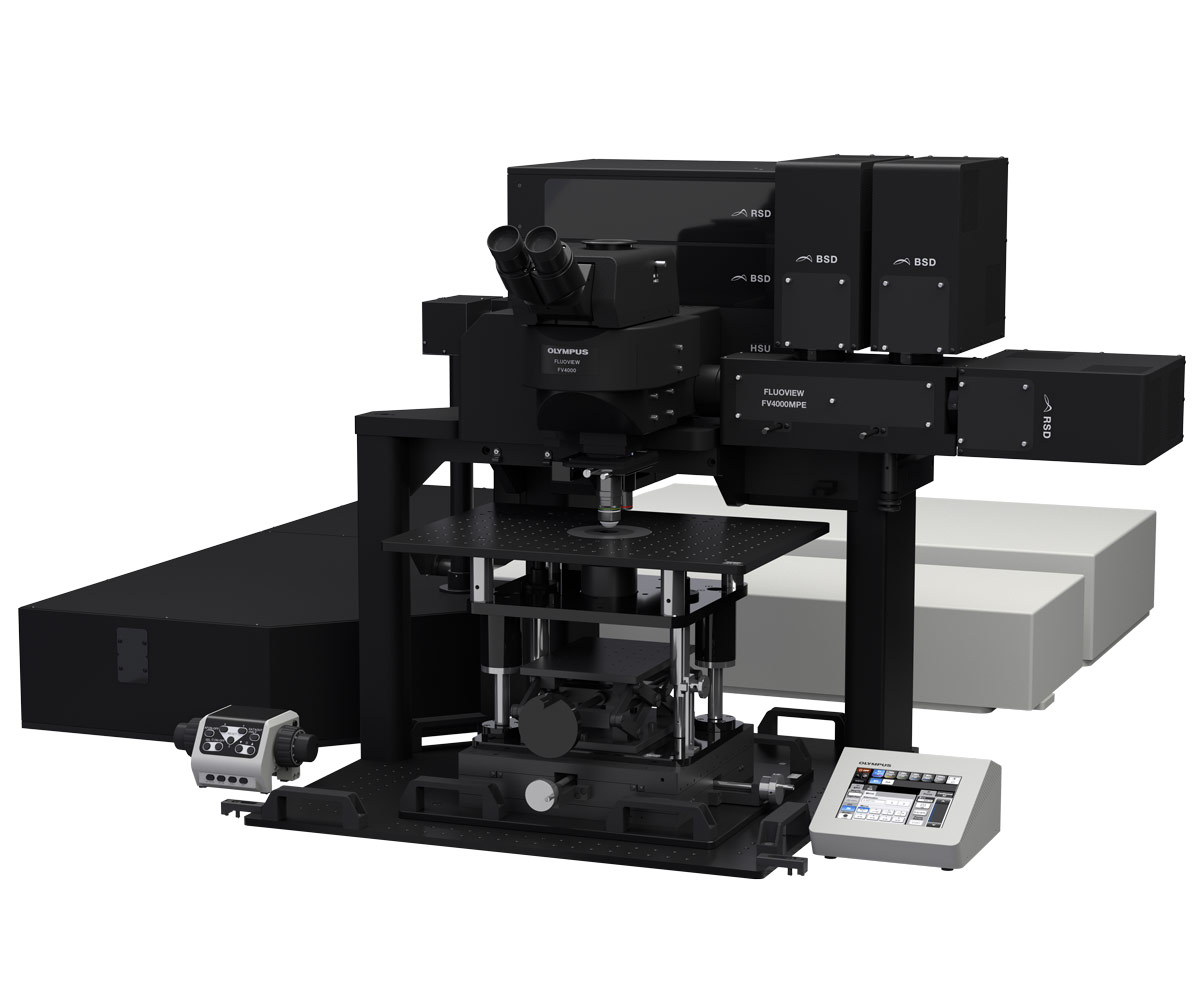 Gantry-Mikroskopsystem