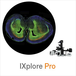 IXplore Pro