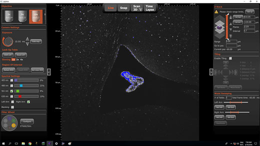 3D 이미징의 QTSPIM 사용자 인터페이스.