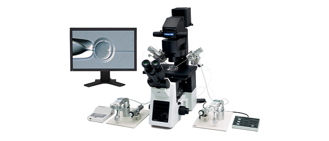 IX73セミ電動システム(IX73 SL-ICSI)が胚生検における顕微鏡観察の効率向上をサポート | Olympus LS