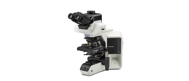 生物顕微鏡 | エビデント - ライフサイエンスソリューション 