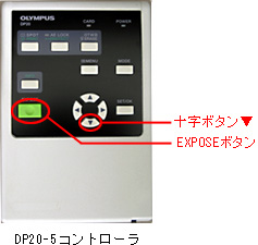 DP20コントローラ