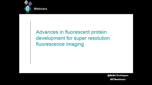 超解像蛍光イメージング用蛍光タンパク質開発の進展