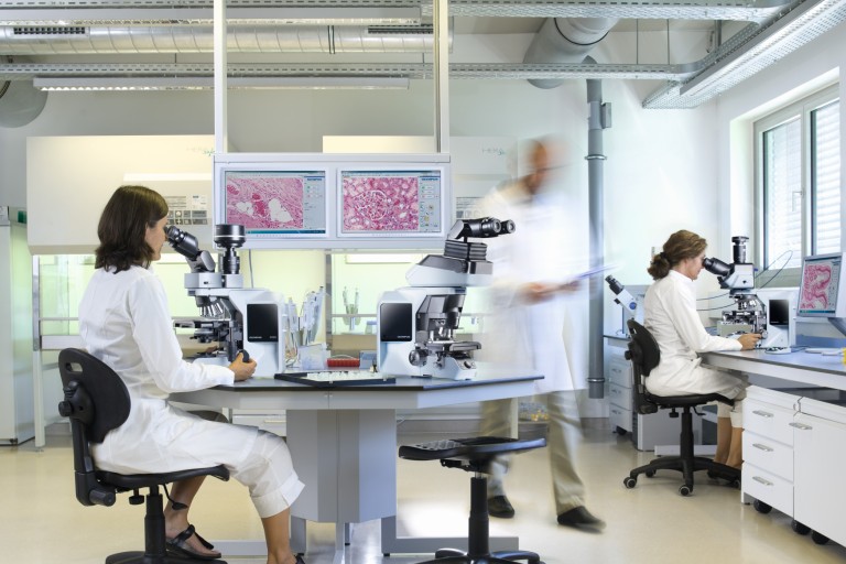 Researchers working in a lab using microscopes 