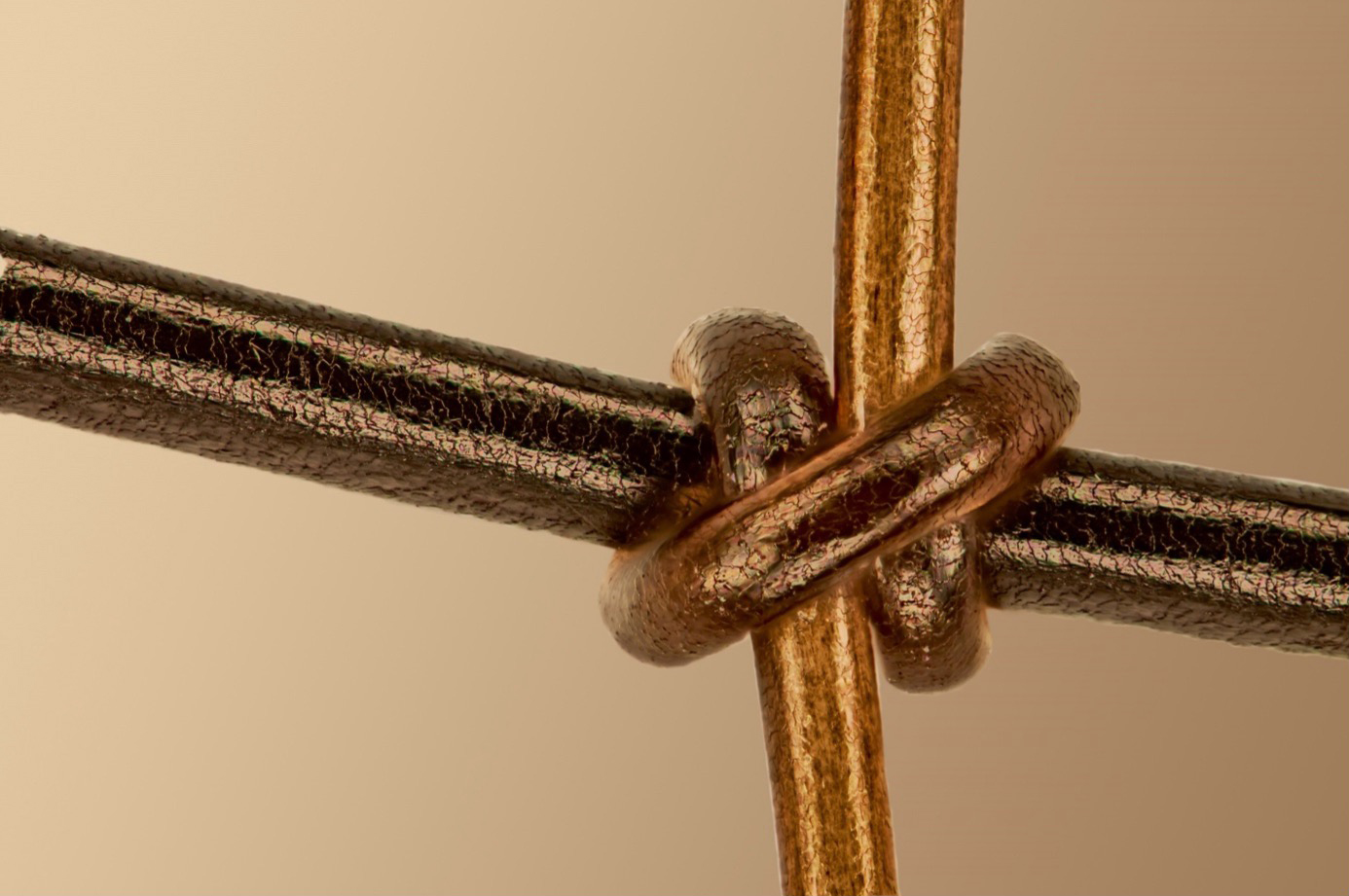 Captured by Gerd Günther of Germany. Human hair (vertical) knotted onto horsehair (horizontal). 