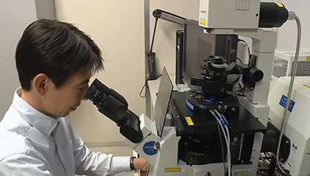 Microscópio confocal no laboratório Mizushima, Universidade de Tóquio