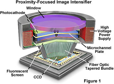 Digital Imaging in Optical Microscopy - Concepts in Digital Imaging -  Proximity-Focused Image Intensifiers