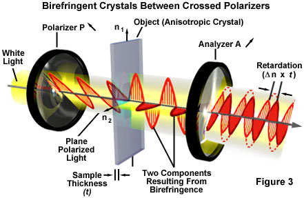 Light and Color - Optical Birefringence | Solutions Olympus ...