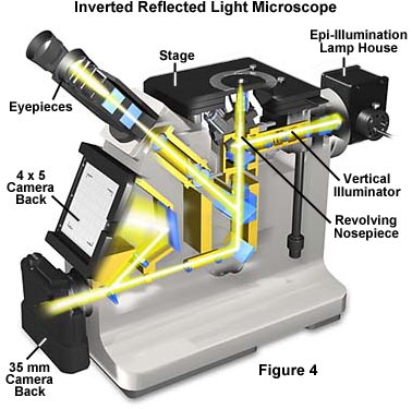 transmission light microscopy