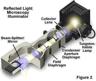 Outgoing Mitt ourselves Reflected Light Microscopy - Introduction to Reflected Light Microscopy |  Olympus LS