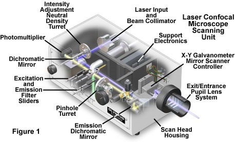 Conceptual diagram of fiber filtration test system.