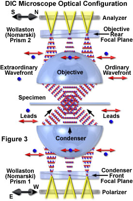 diffraction limit confocal microscopy
