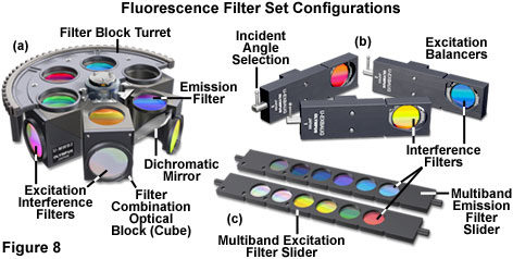 fluorescence microscope parts and functions