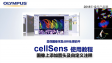 cellSens analysis-use anotation tool to add arrows and text on the images