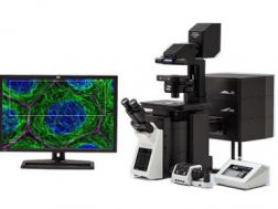 FV3000 | Confocal Laser Scanning Microscope | Olympus LS