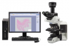 Digitalización del portaobjetos usando un microscopio manual y una cámara digital