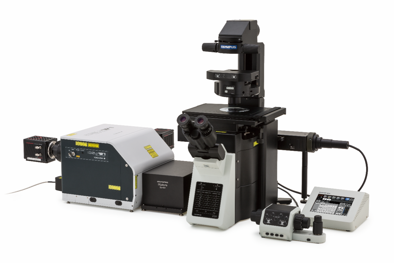 Sistema de microscópio de super-resolução para pesquisa de organoide