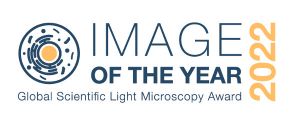 CONCOURS « IMAGE OF THE YEAR » 2022