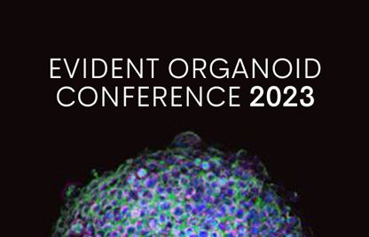 EVIDENT Organoid Conference 2023 - Looking Deeper, Capturing Complexities