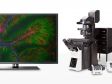 Ein Blick hinter die Kulissen: Die Entwicklung des konfokalen Mikroskops FLUOVIEW FV4000