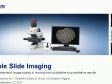 Whole Slide Imaging: The Importance of Image Quality in Moving from Qualitative to Quantitative Results
