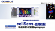 cellSens analysis-use Kymograph to measure speed