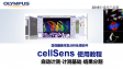 cellSens analysis-count and measure03-automatic count and measure-objects segmentation