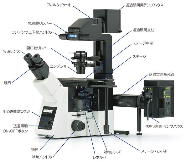 倒立型顕微鏡の操作部位