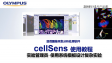 cellSens 획득-실험 관리자-03 기본 템플릿에 의한 XYZ 다채널 멀티포인트 및 타임 랩스 실험 설계