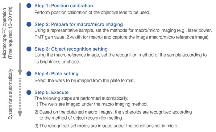 Macro-to-Micro Imaging Steps