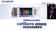 cellSens acquisition-one step to find focus (motorized Z stage)