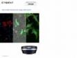 High-Quality Fluorescence Images within Reach