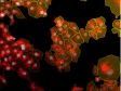 Vereinfachung der Instanzsegmentierung von Zellen und Zellkernen durch Deep Learning