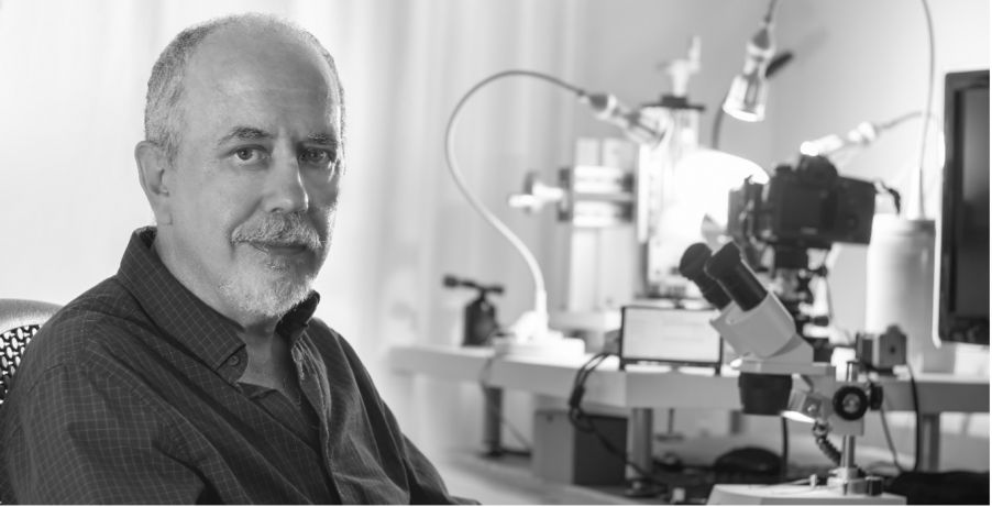 2022年全球显微镜图像大赛欧洲、中东和非洲地区获奖者Javier Ruperez