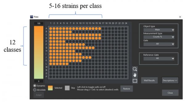 Figure 2: 384 well plate layout of the ground truth sample preparation. Each well corresponds to a strain in which a specific protein was tagged with GFP at its N-terminus. All strains of the same row share the same protein localization and were assigned to ground truth of the same class.